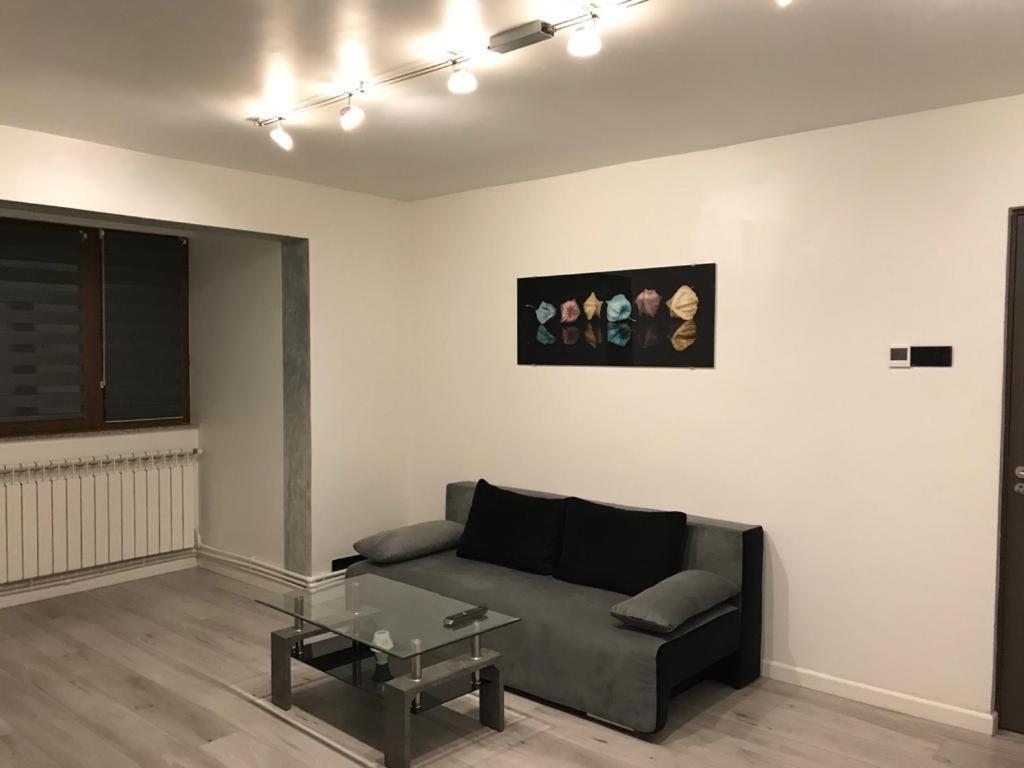 Elegant & Silver Luxury Apartament Craiova Esterno foto